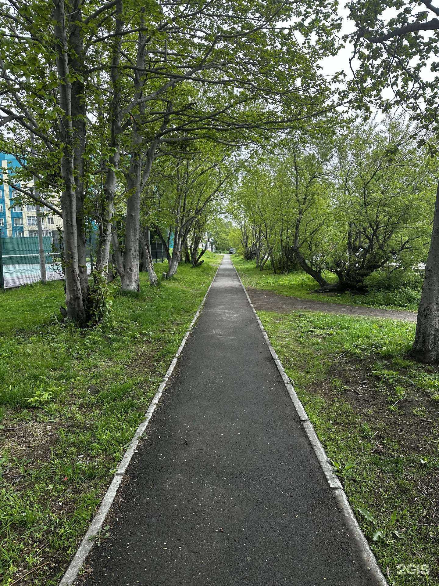 Отзывы на компанию Открытый теннисный корт в Петропавловске-Камчатском c фото