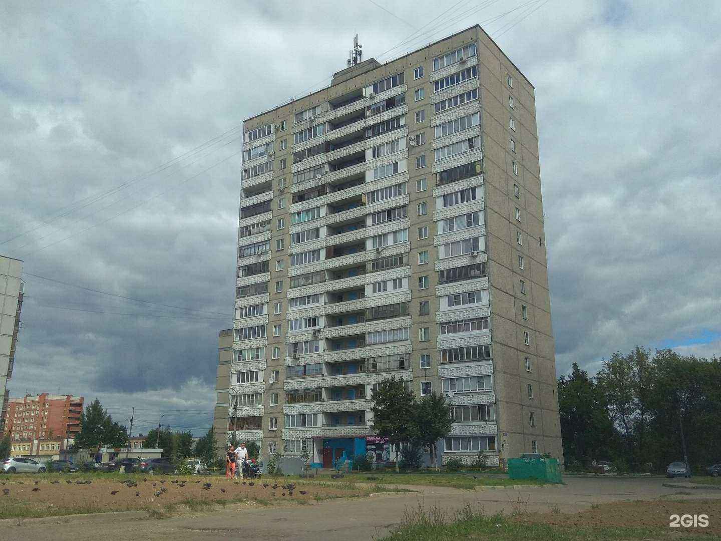 Отзывы на компанию Лев в Нижнем Новгороде c фото - фотография 2 из 2