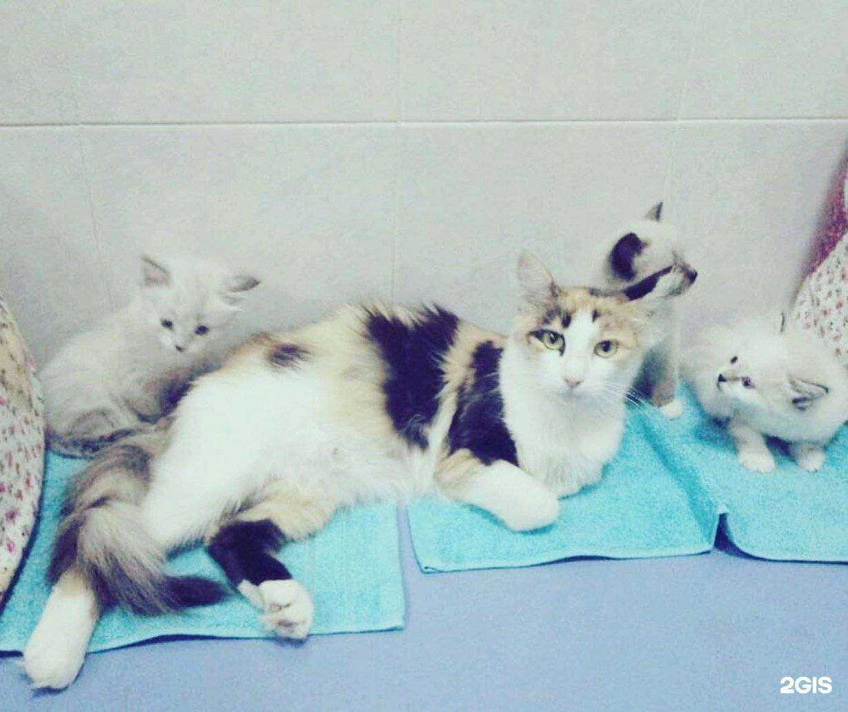 Отзывы на компанию На Гастелло в Тюмени c фото