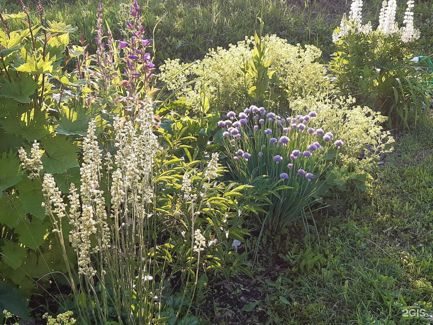 Отзывы на компанию Ландшафты Сибири в г. Красноярск c фото