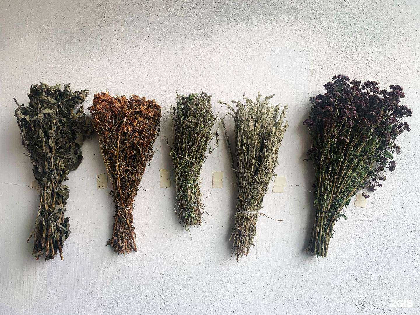 Отзывы на компанию Travavar в Уфе c фото