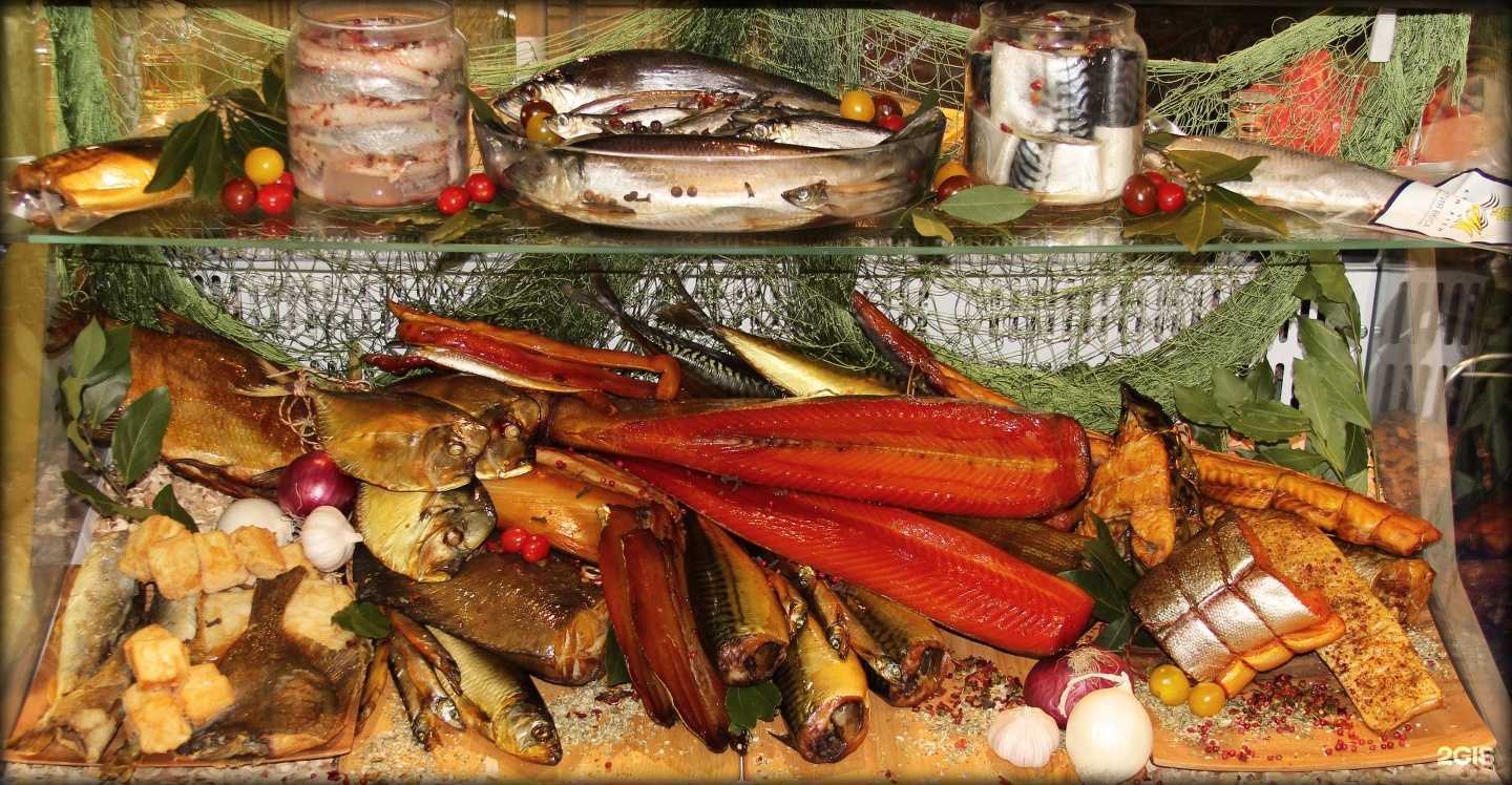 Отзывы на компанию Плавник и Бивень в г. Красноярск c фото