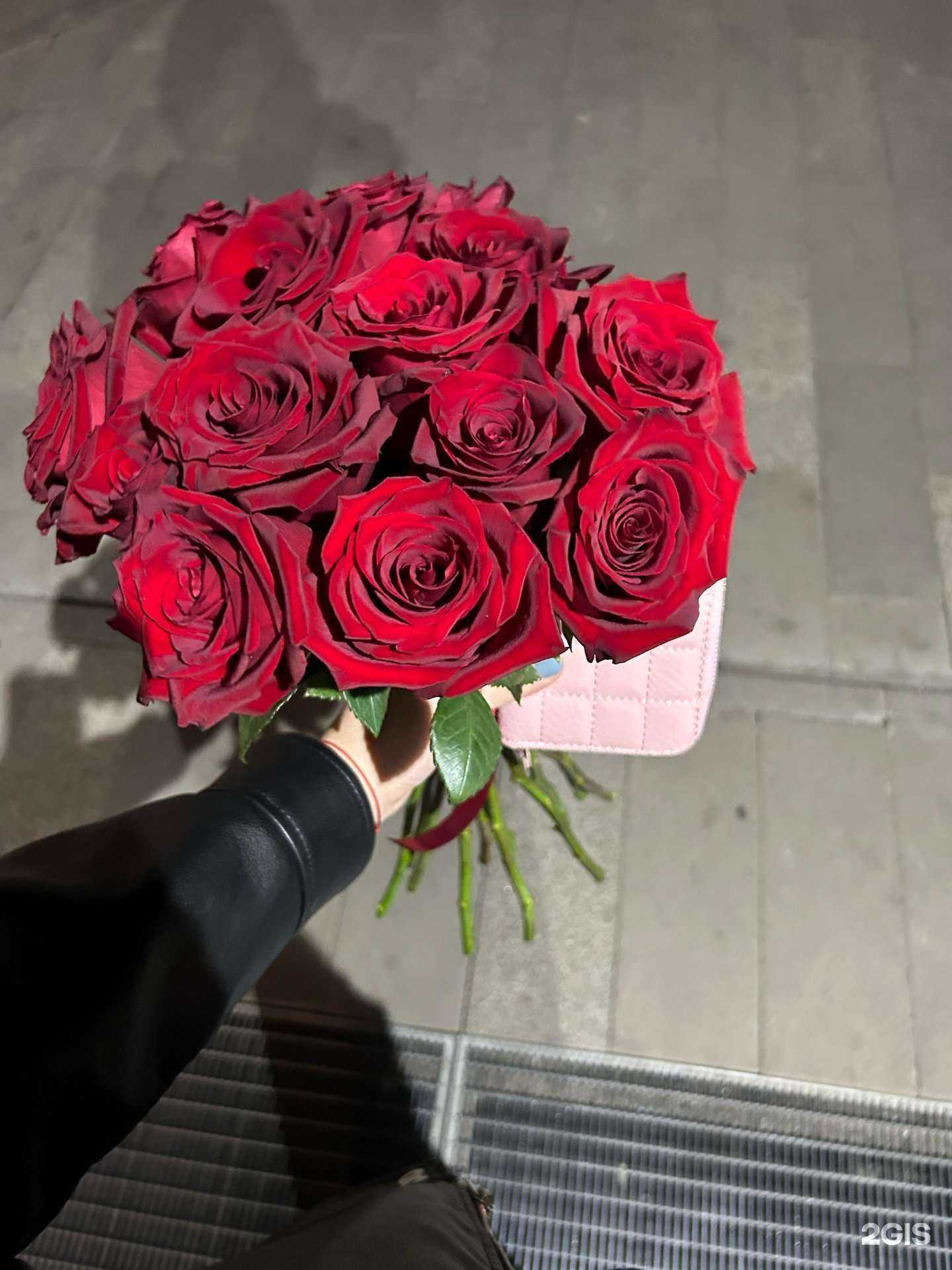 Отзывы на компанию Шелли-Холл в Кемерове c фото