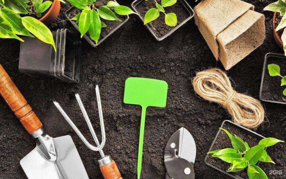 Отзывы на компанию Алексмаркет в Губахе c фото