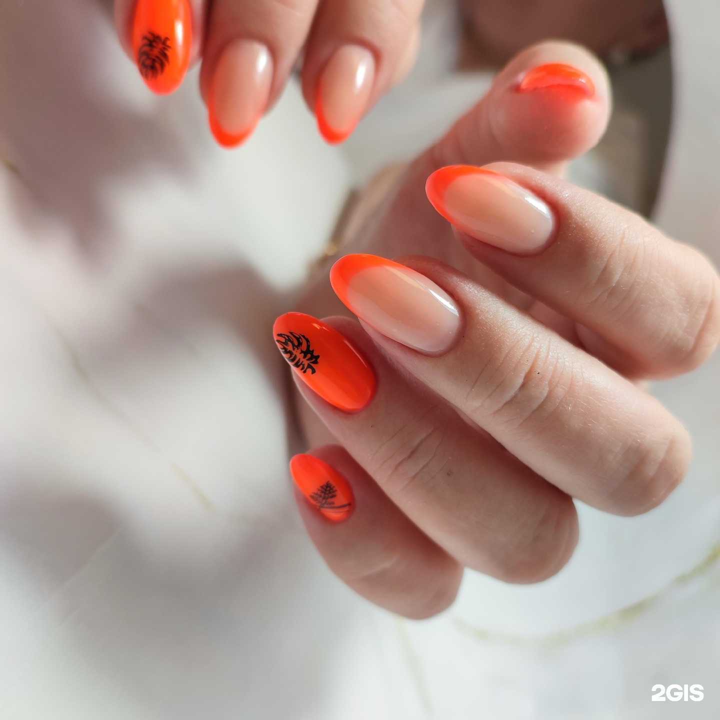 Отзывы на компанию X-Profi в Краснодаре c фото