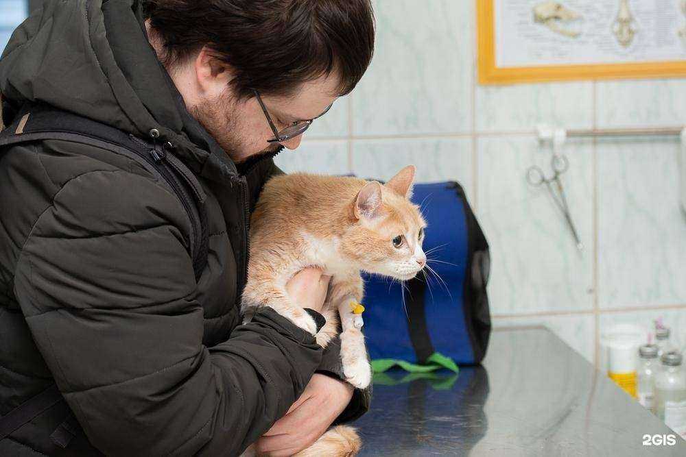 Отзывы на компанию Уфимская городская ветеринарная станция республики Башкортостан в г. Уфа c фото