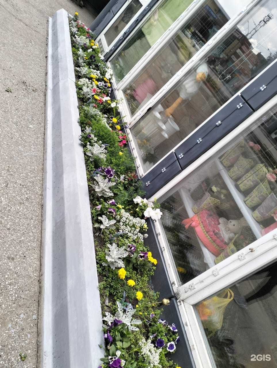 Отзывы на компанию Магия цветов в Новокузнецке c фото