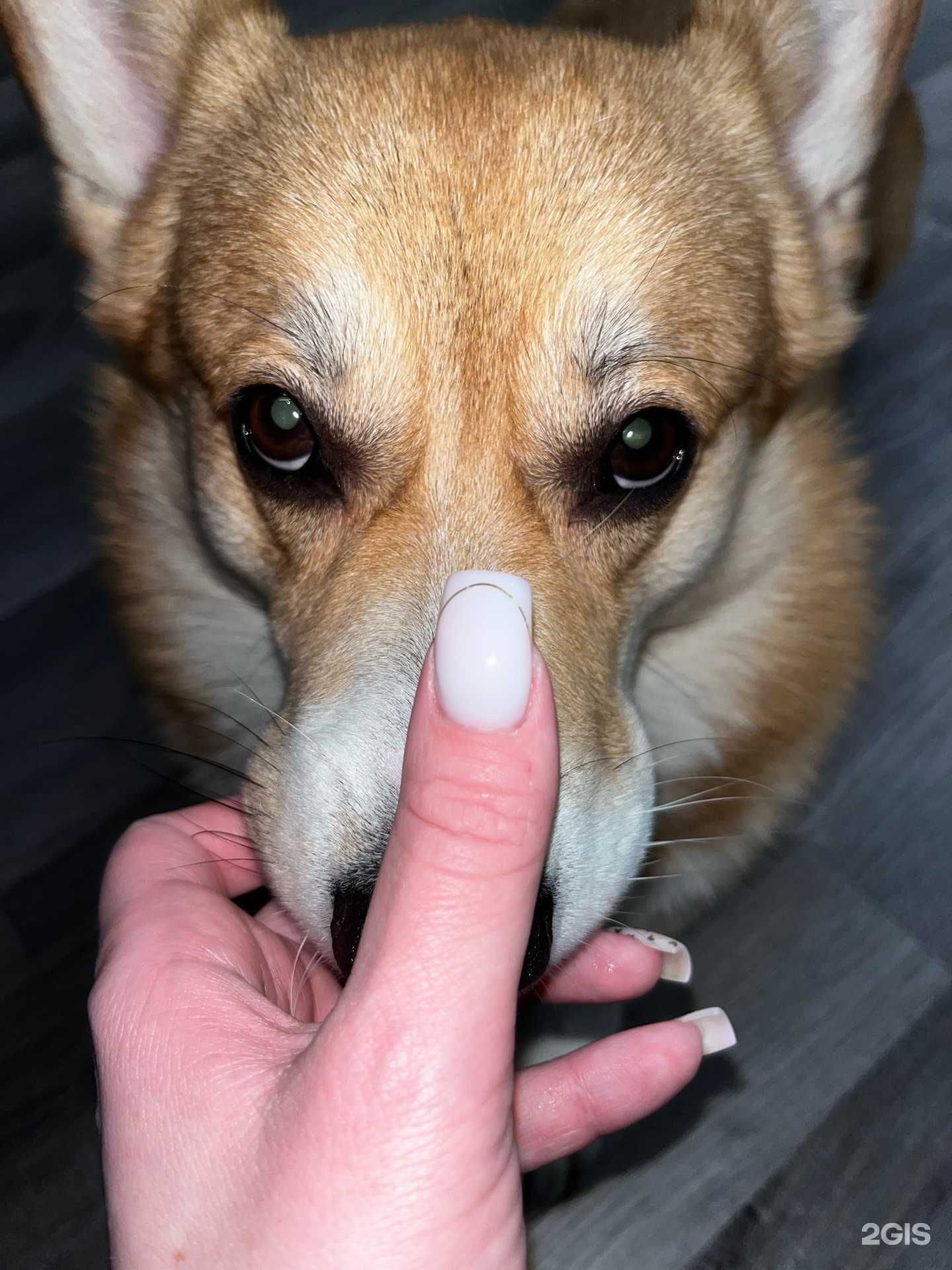 Отзывы на компанию Кабинет маникюра и педикюра в Кемерове c фото