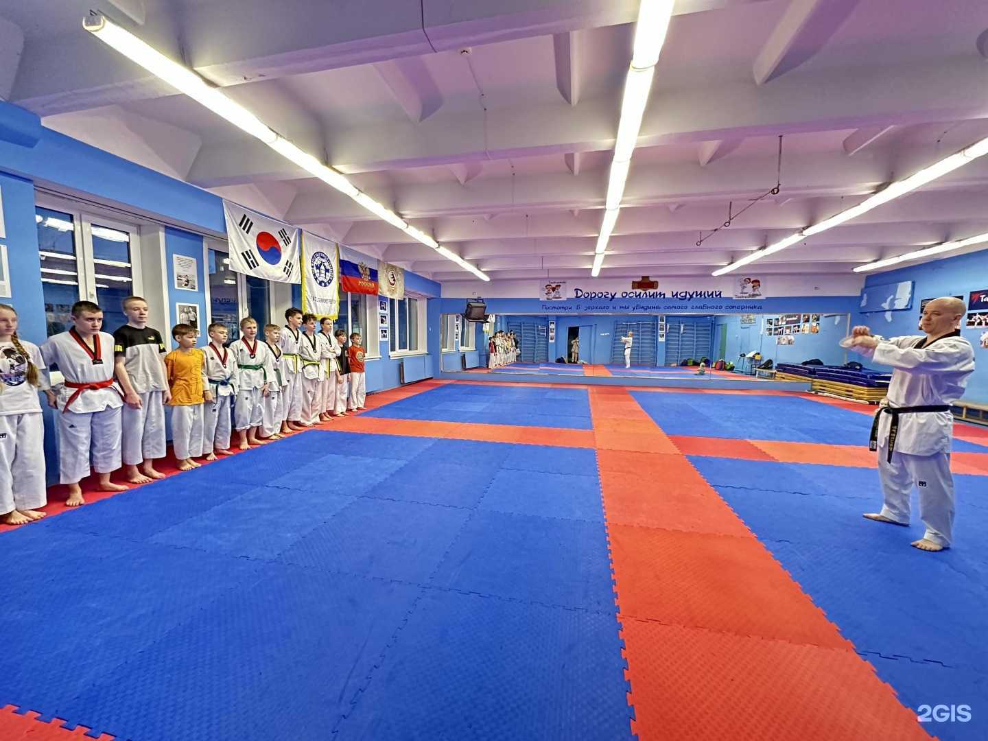 Отзывы на компанию Мангуста в г. Новосибирск c фото