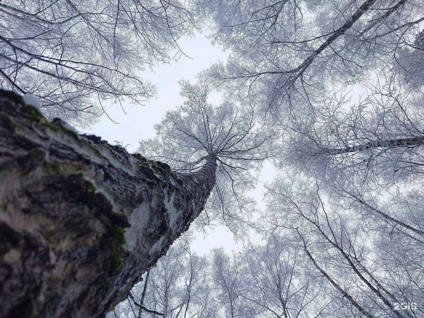 Отзывы на компанию Sony Centre в Липецке c фото