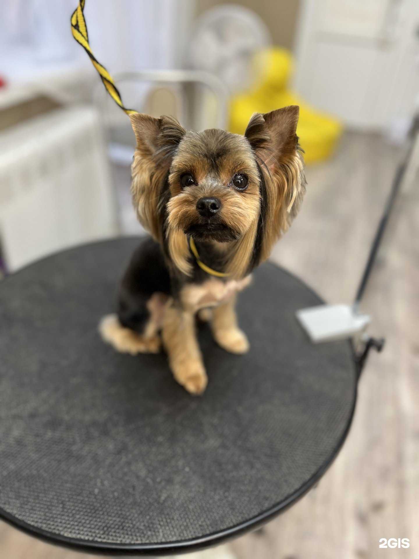 Отзывы на компанию Йорк Сити в Уфе c фото