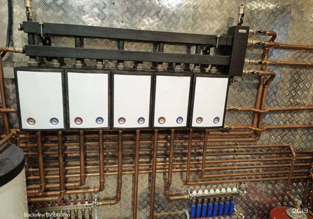 Отзывы на компанию Слон в Сургуте c фото