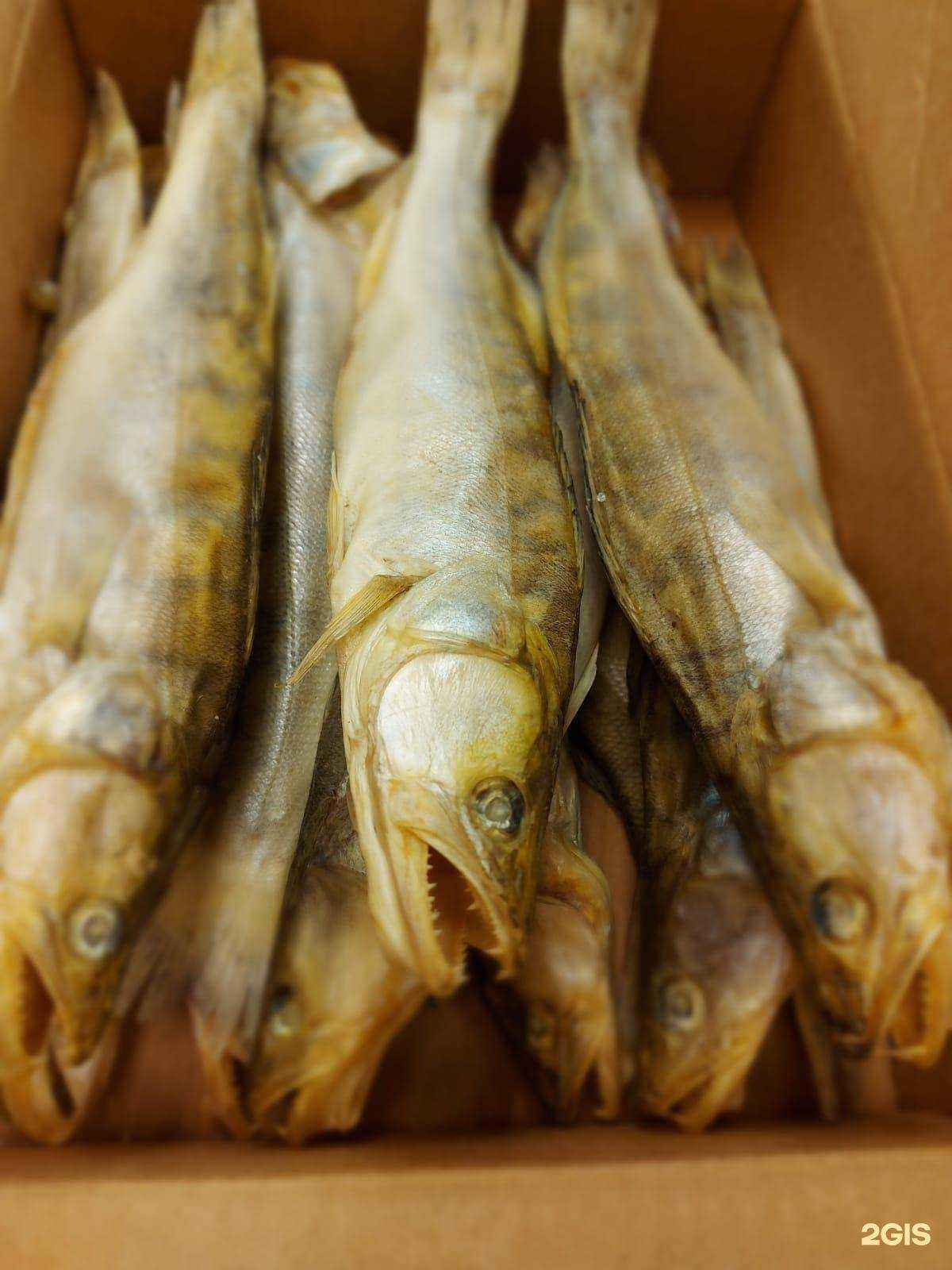 Отзывы на компанию Бавария в г. Ростов-на-Дону c фото