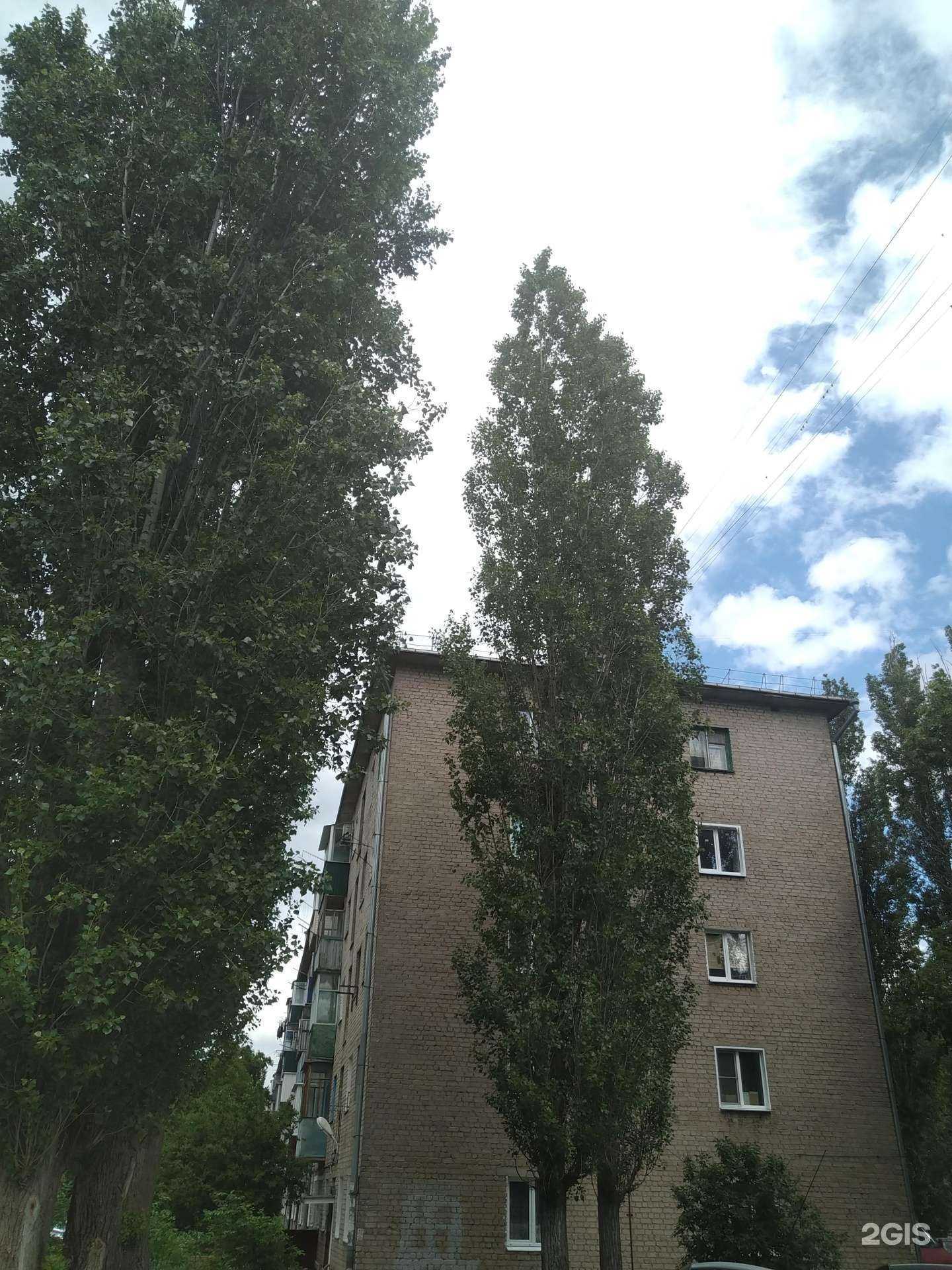 Отзывы на компанию НаХОДка в Елеце c фото - фотография 2 из 2