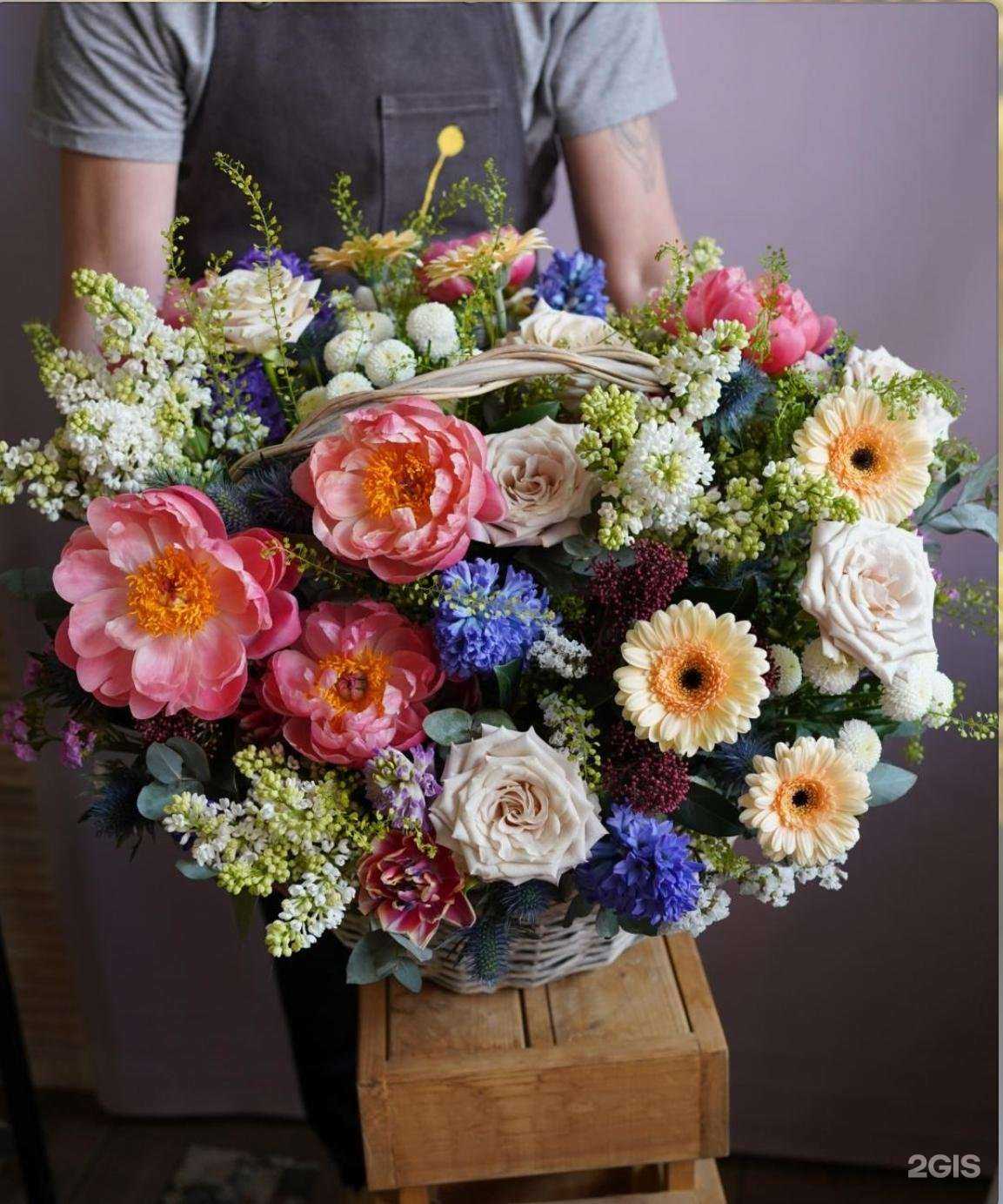 Отзывы на компанию Mellow Yellow в г. Черноголовка c фото