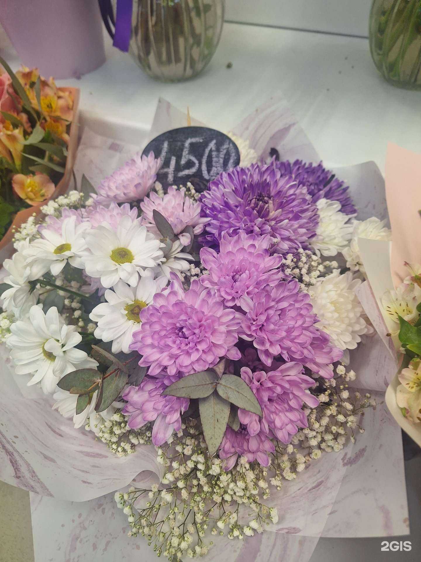 Отзывы на компанию Grand prix в г. Сургут c фото