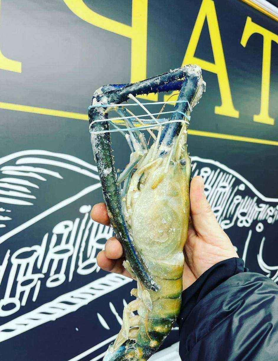 Отзывы на компанию Рыба Камчатки в Чебоксарах c фото