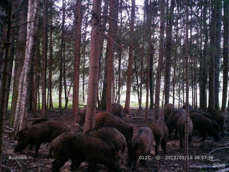 Отзывы на компанию Волынь в г. Великие Луки c фото