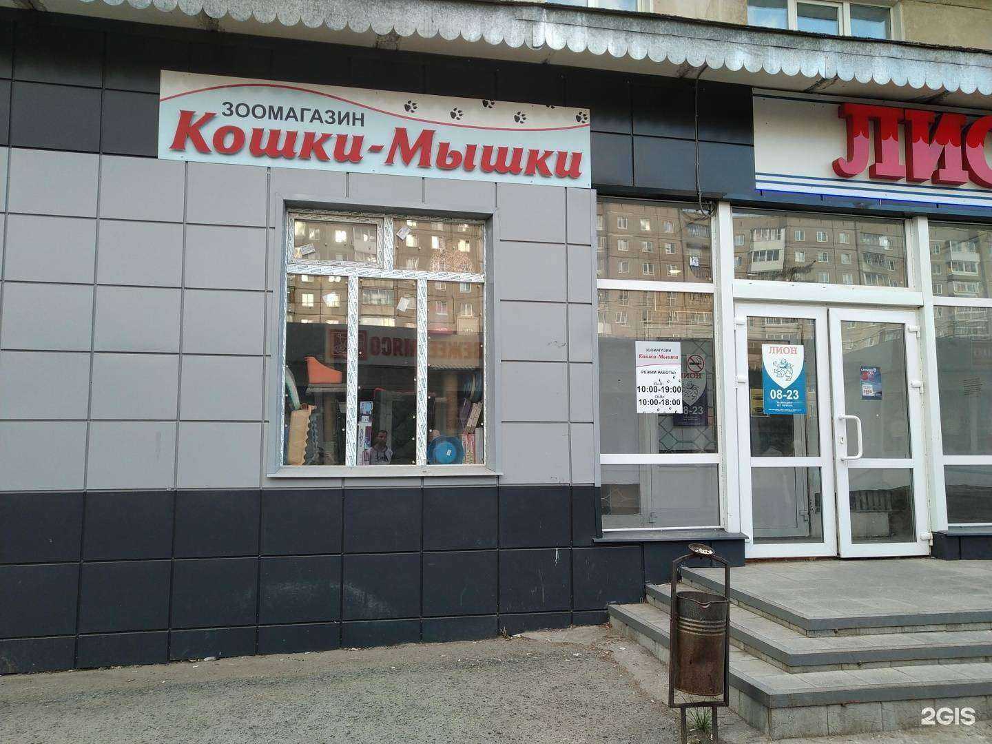 Отзывы на компанию Кошки-мышки в Нижнем Тагиле c фото