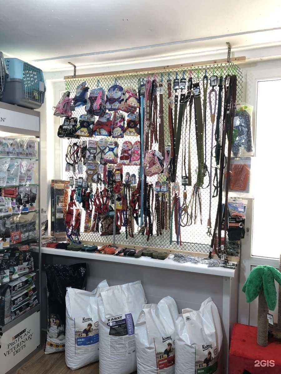 Отзывы на компанию Ветпатруль в Сочи c фото