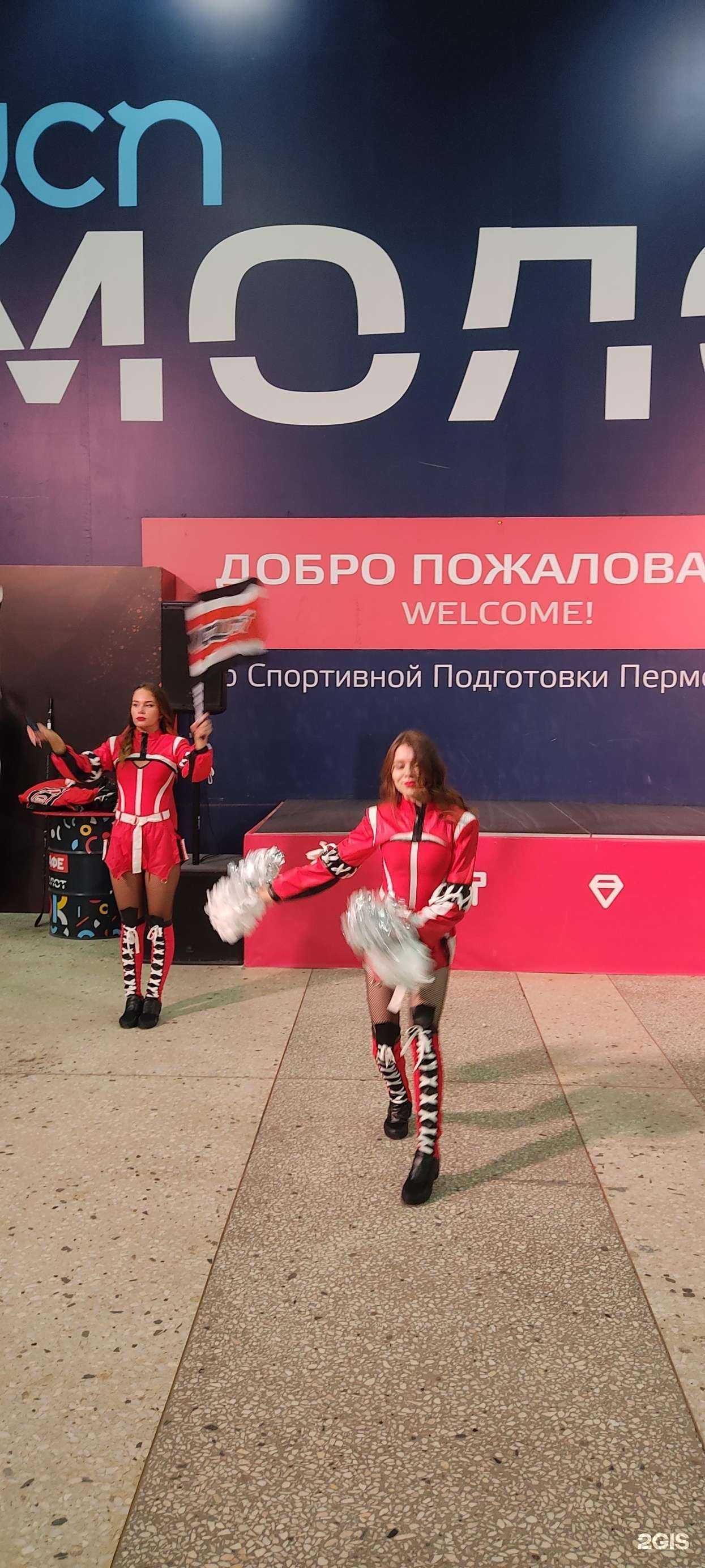 Отзывы на компанию Молот в Перми c фото