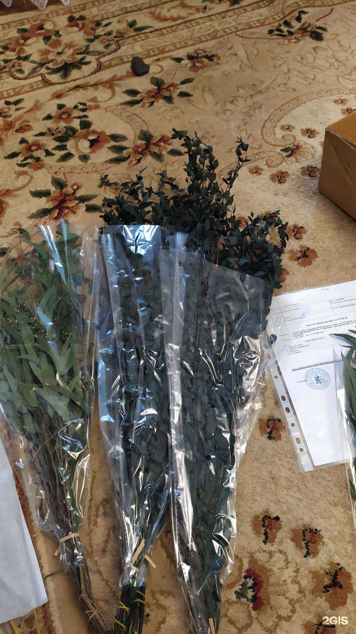 Отзывы на компанию Kalina в Красноярске c фото