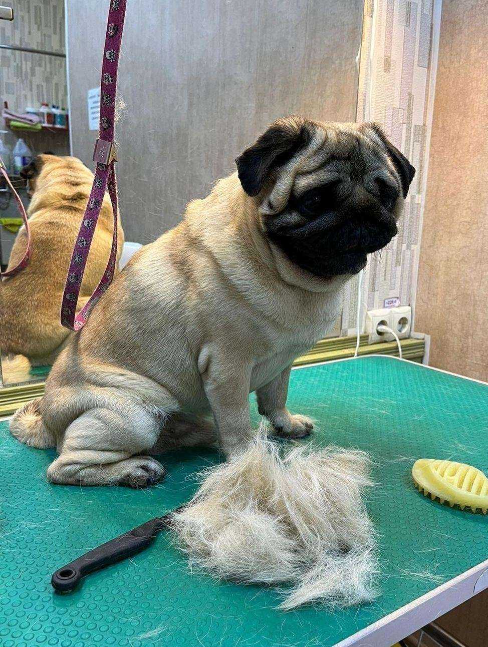 Отзывы на компанию Bonita в г. Подольск c фото