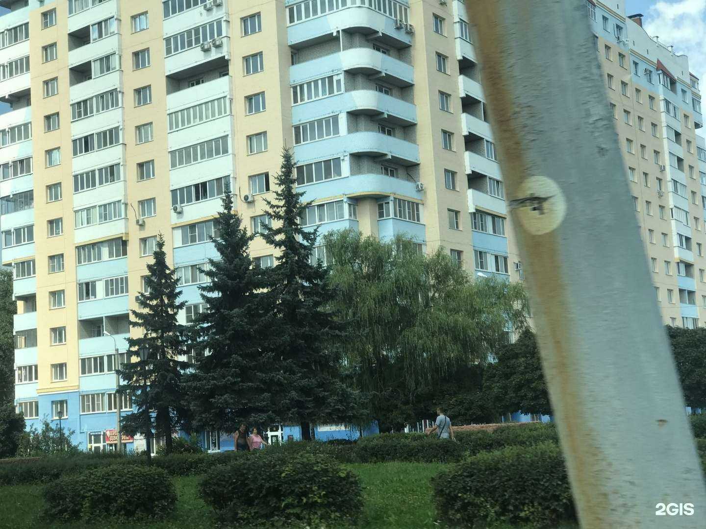 Отзывы на компанию Мистер Фант в Орле c фото - фотография 2 из 2