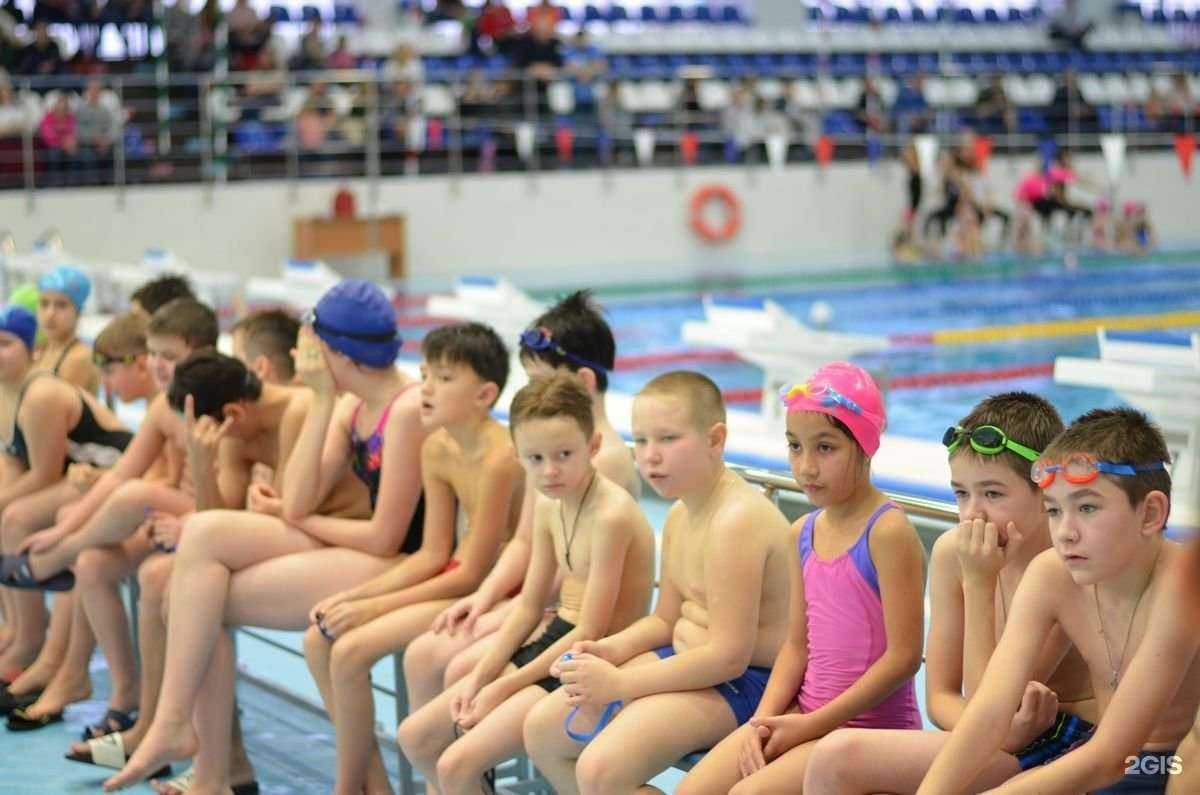 Отзывы на компанию Афалина в г. Сургут c фото