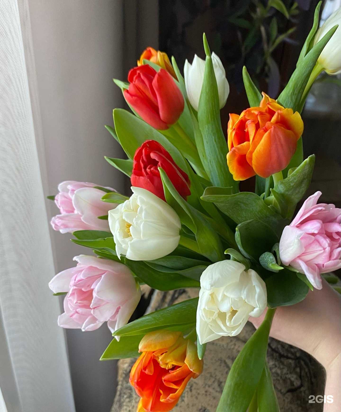 Отзывы на компанию Flori`o в г. Смоленск c фото