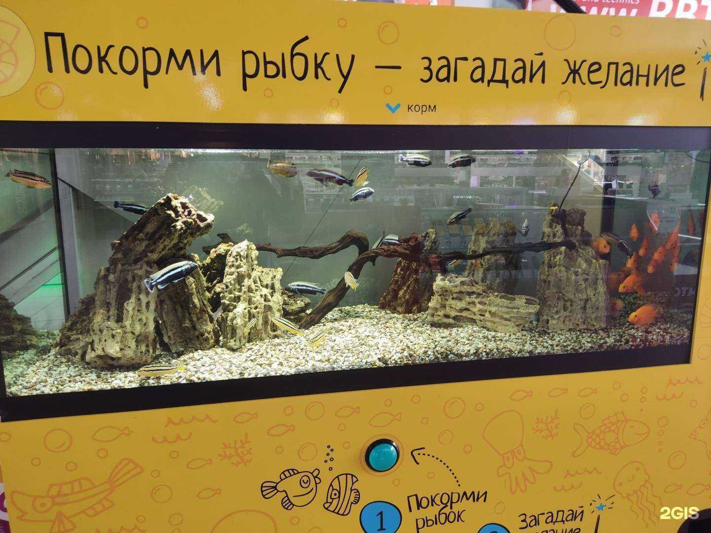 Отзывы на компанию Море желаний в г. Барнаул c фото