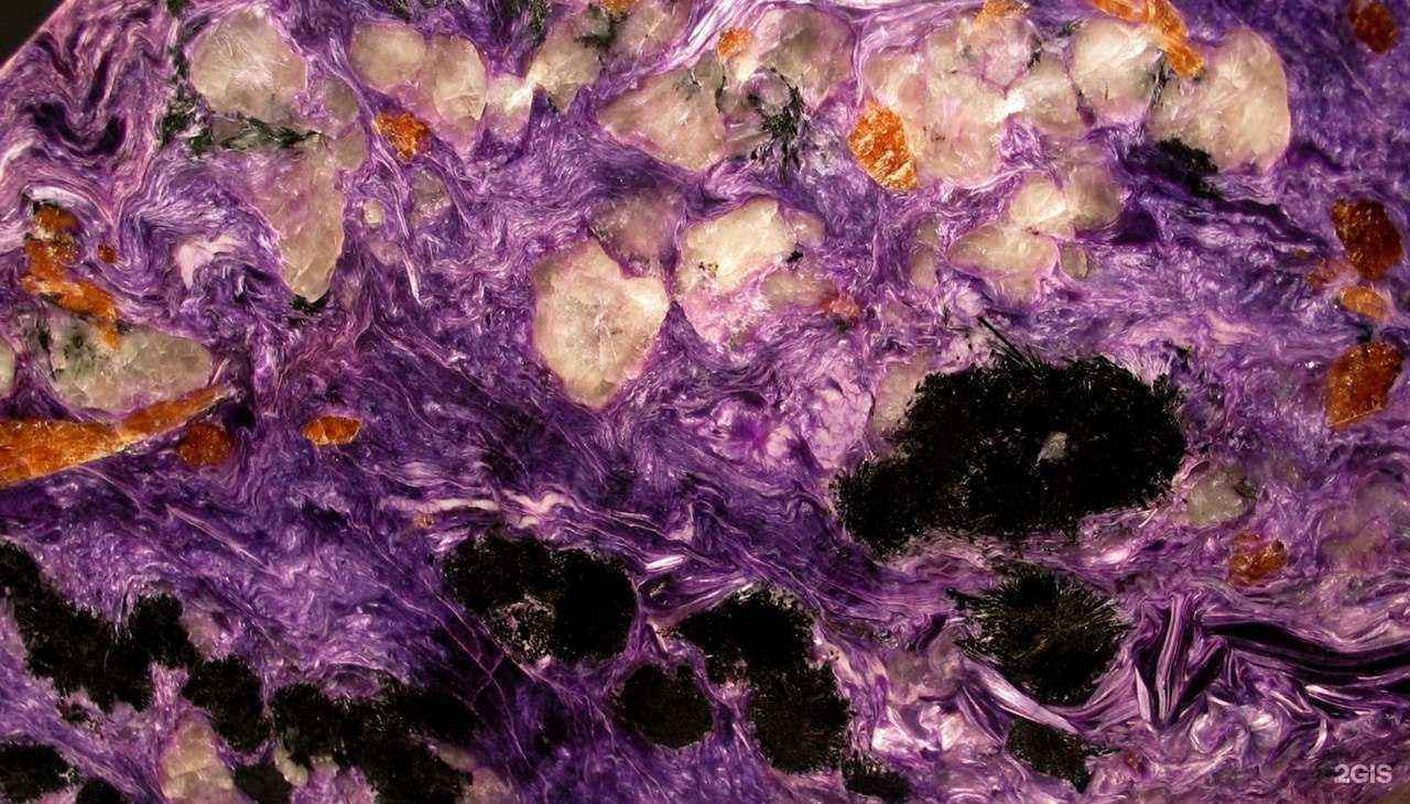 Отзывы на компанию Лавка семи гномов в Воронеже c фото