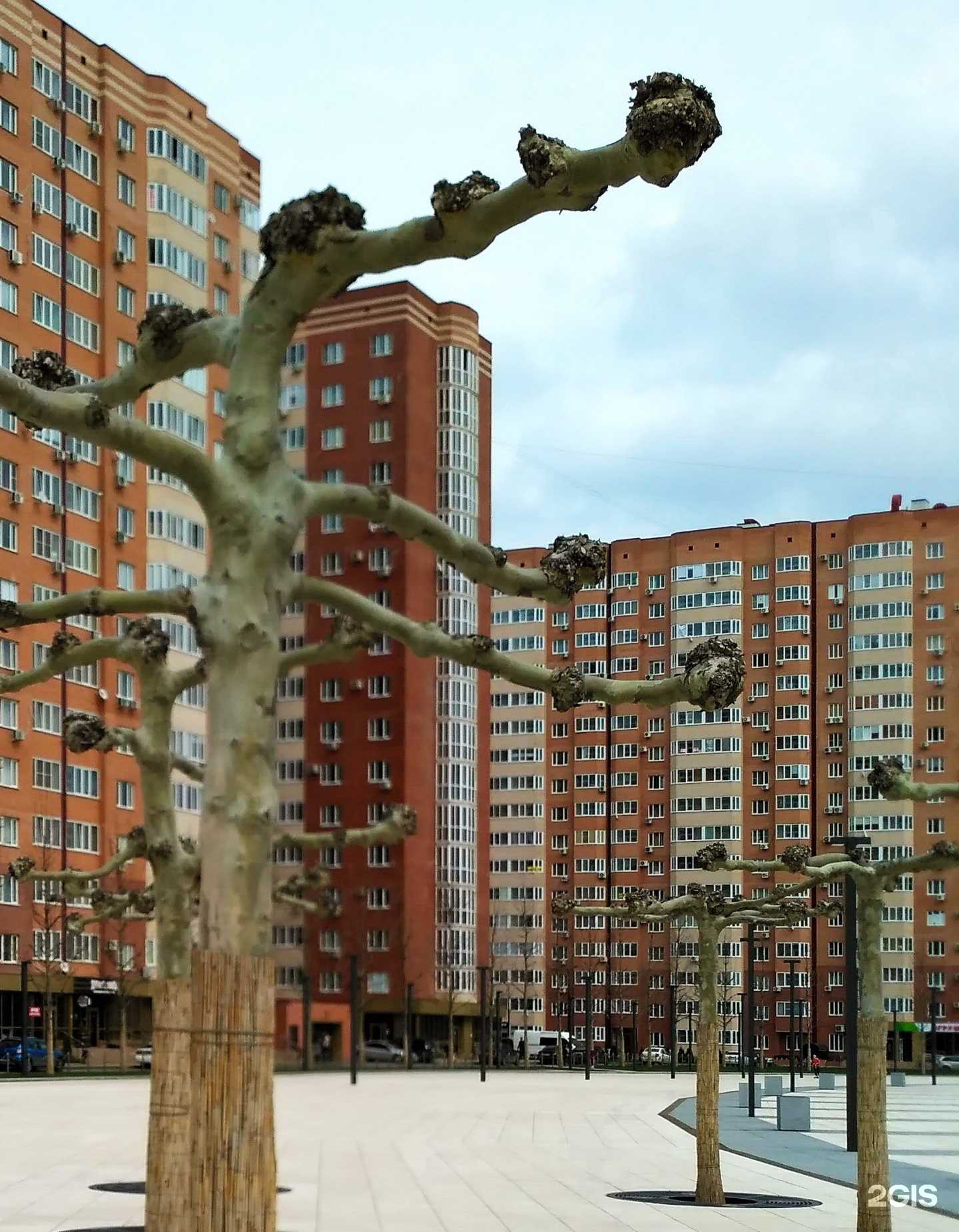 Отзывы на компанию Pan amera в Краснодаре c фото