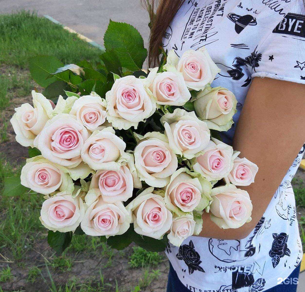 Отзывы на компанию Тюльпан в Саратове c фото