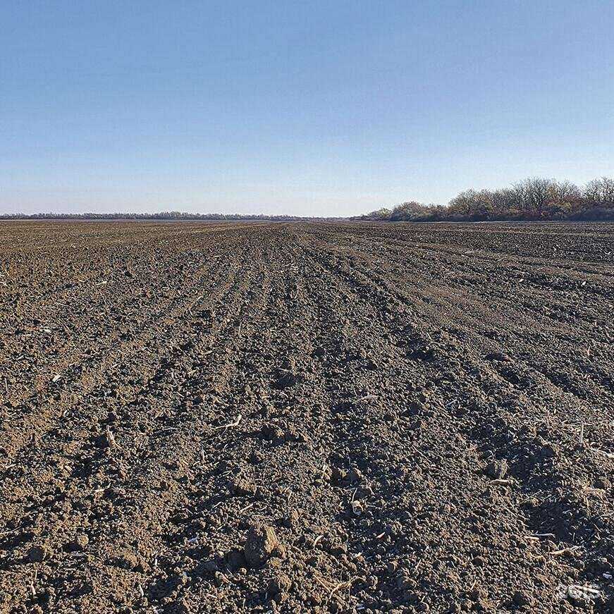 Отзывы на компанию Август в г. Тамбов c фото