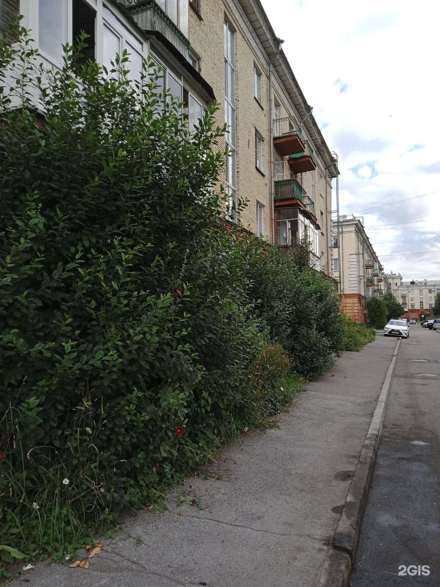 Отзывы на компанию Цветочные системы в Новокузнецке c фото - фотография 2 из 2