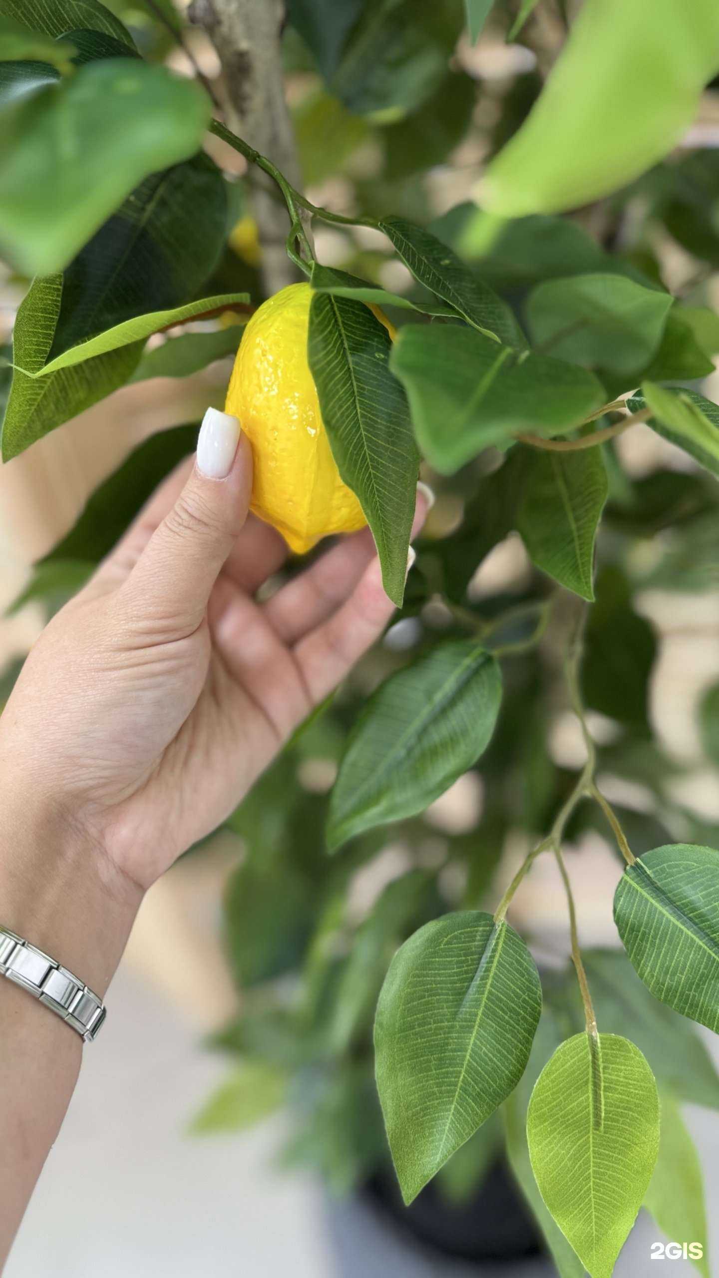 Отзывы на компанию My green home в г. Уссурийск c фото