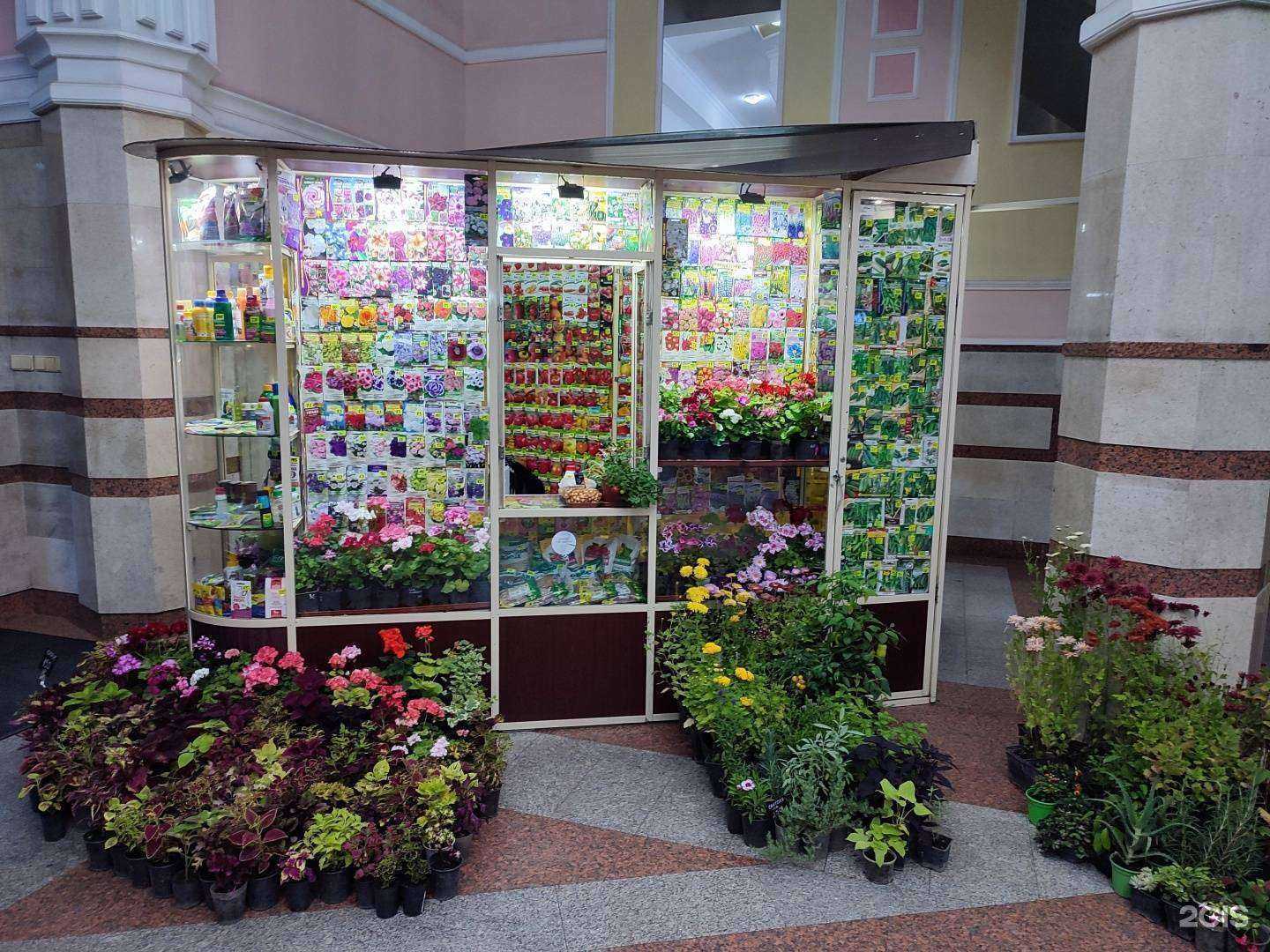 Отзывы на компанию Дачный экспресс в г. Новосибирск c фото