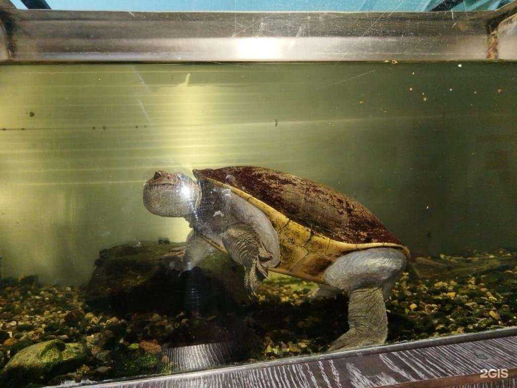 Отзывы на компанию Детский сад общеразвивающего вида №73 в Томске c фото