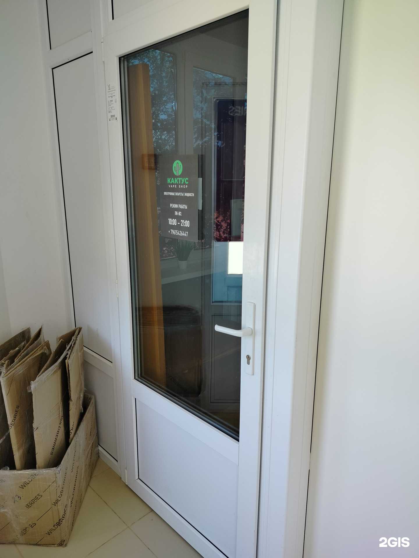 Отзывы на компанию Кактус в Элисте c фото