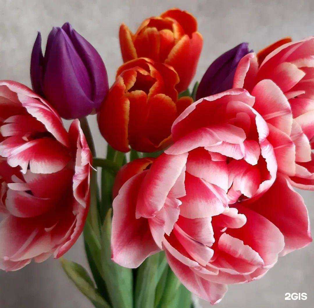 Отзывы на компанию Алмедиа в Тамбове c фото