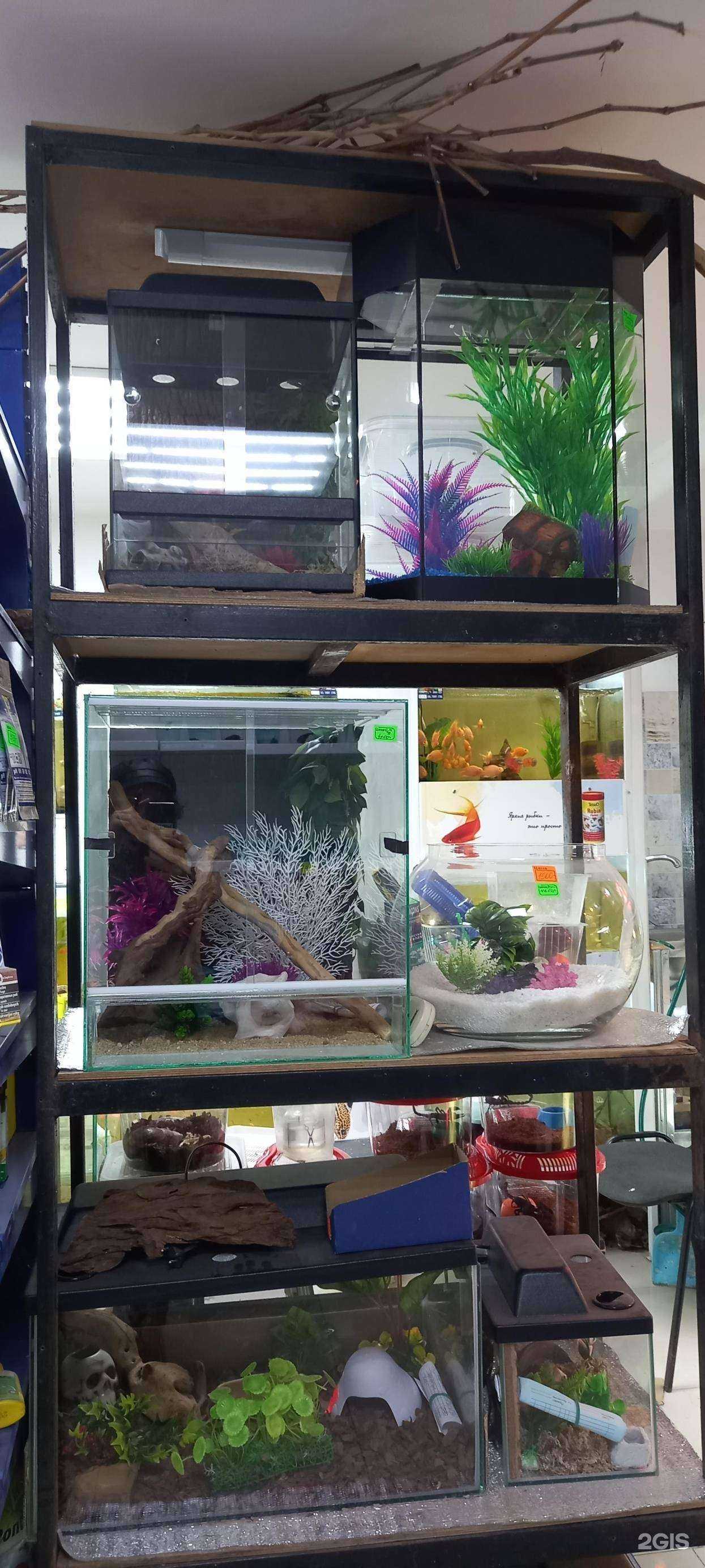 Отзывы на компанию Флора-Фауна в Краснодаре c фото