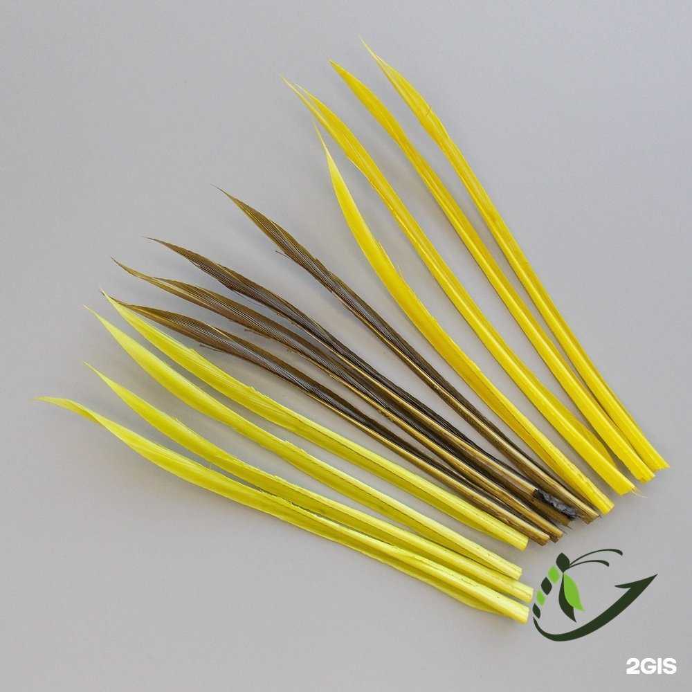 Отзывы на компанию Fortuna-Fish.com в Красноярске c фото