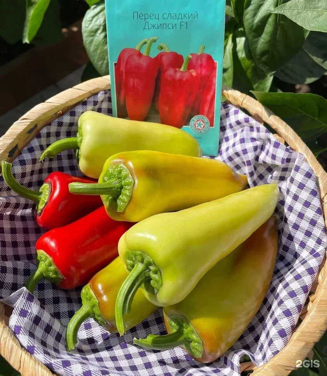 Отзывы на компанию Семена.ру в Челябинске c фото