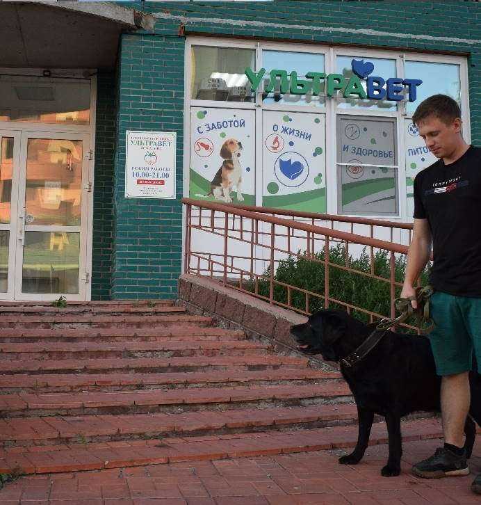 Отзывы на компанию Ультравет в Омске c фото