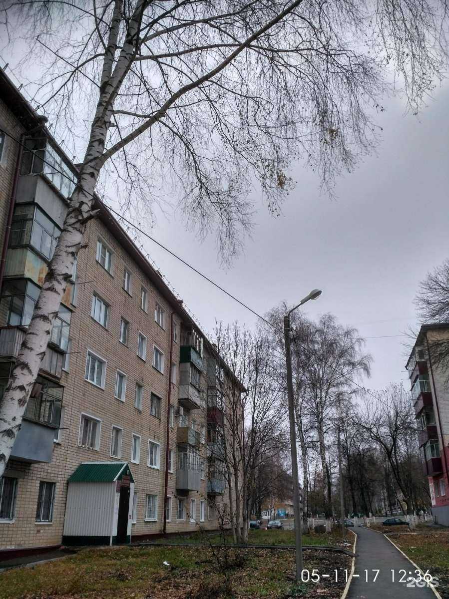 Отзывы на компанию Детская библиотека им. К.И. Чуковского в Саранске c фото