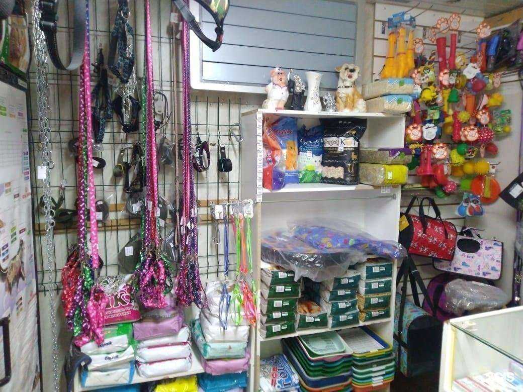 Отзывы на компанию Счастливый бегемот в г. Старый Оскол c фото