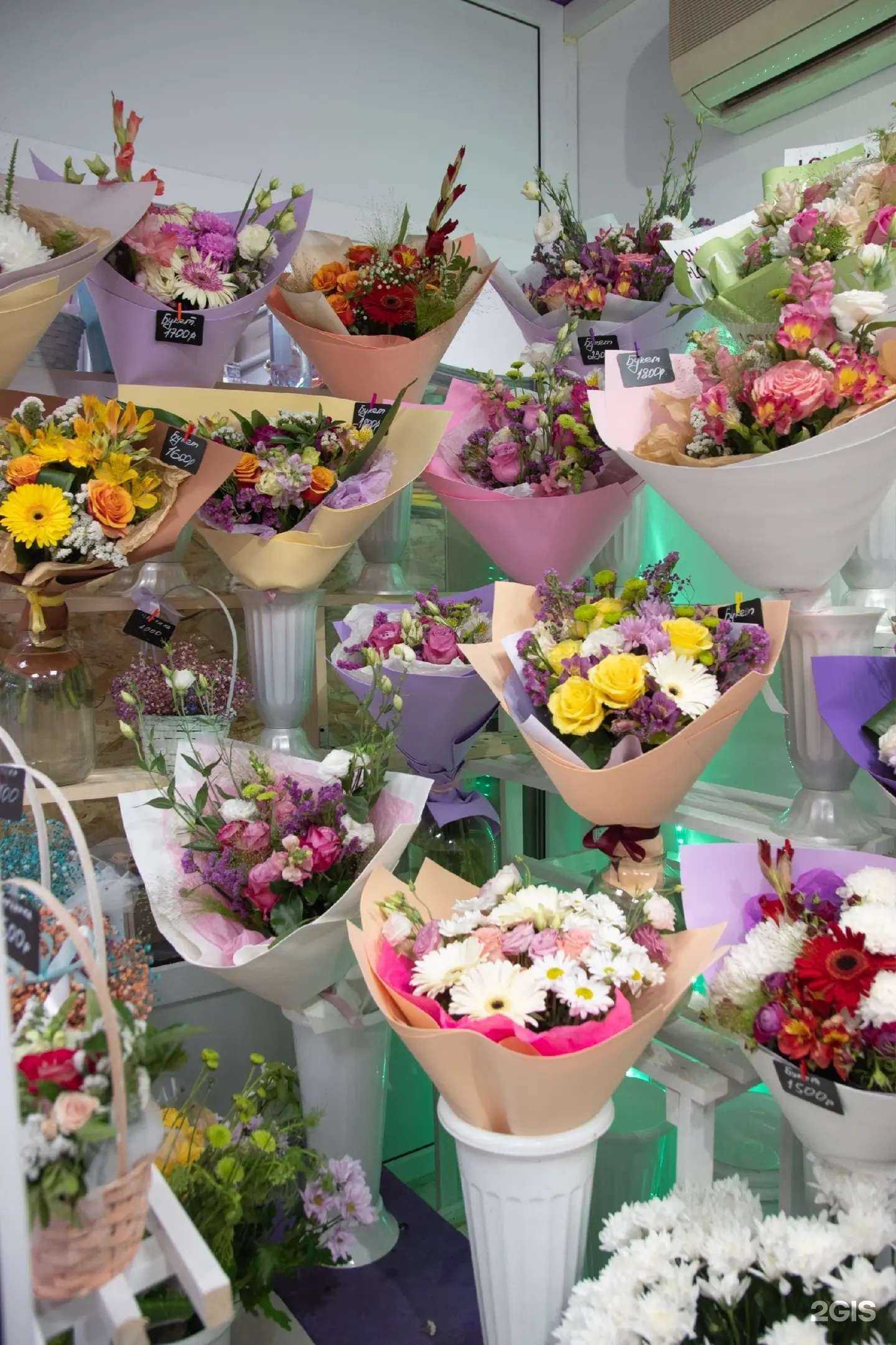 Отзывы на компанию Флора в Волгограде c фото