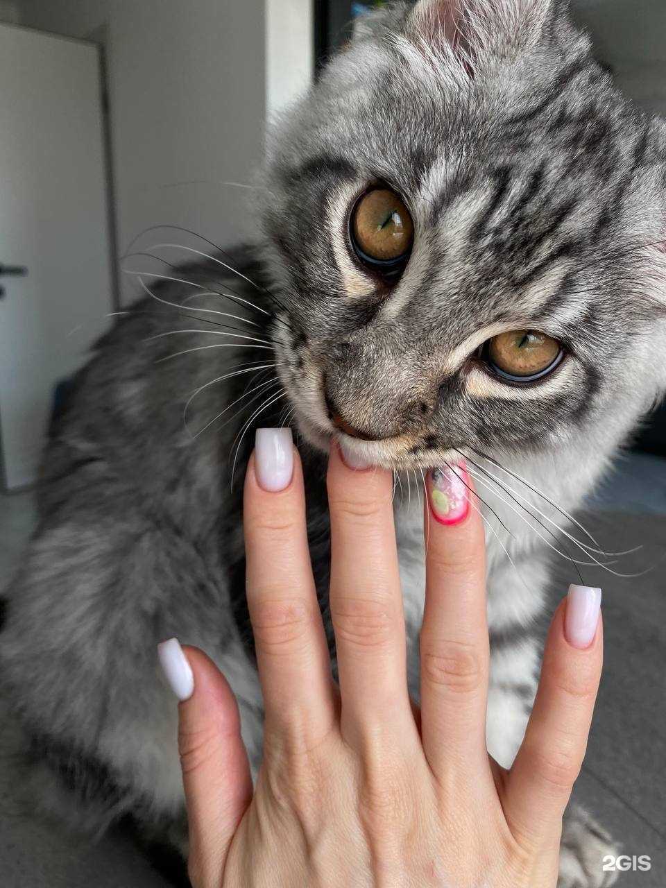 Отзывы на компанию Бьюти-студия в Челябинске c фото