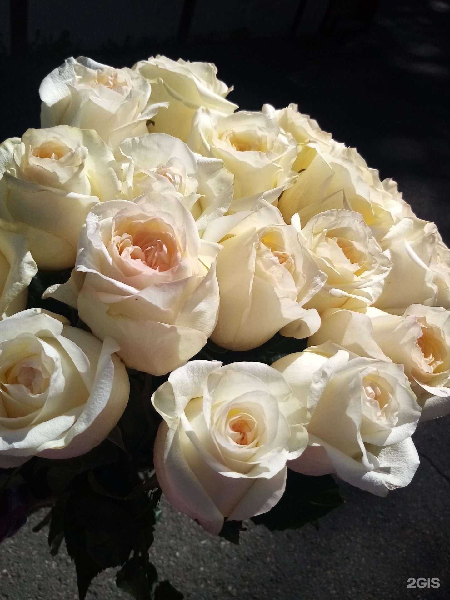 Отзывы на компанию Мои цветы в Барнауле c фото